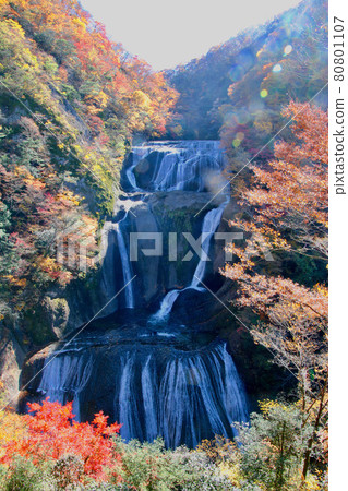 Autumn Fukuroda Falls (Daigo Town, Ibaraki Prefecture) 80801107