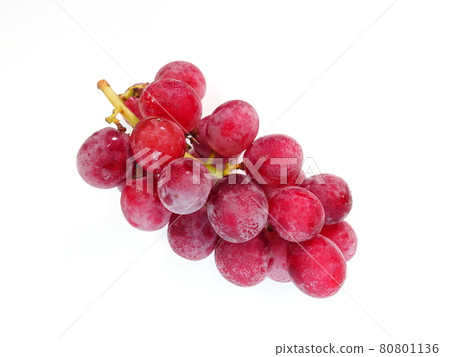 葡萄葡萄 80801136