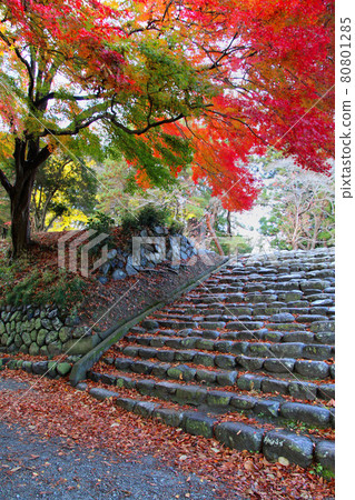 秋季相馬中村神社(福島縣相馬市) 秋季相馬中村神社(福島縣相馬市) 80801285