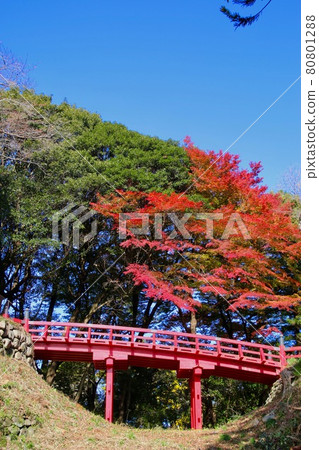 秋季相馬中村神社/赤橋（福島縣相馬市） 80801288