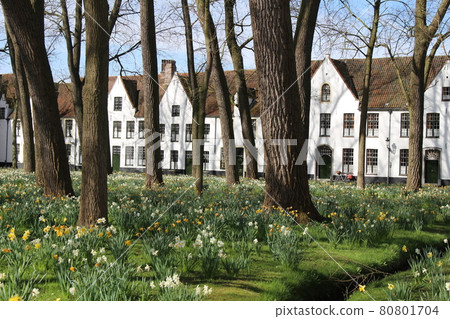 World Heritage Beguinage Monastery Bruges Belgium 80801704
