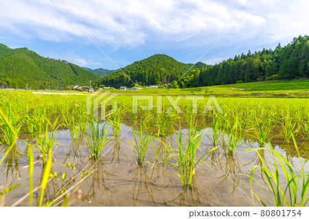 路邊車站杉原紙村，高町田園風光（兵庫縣高郡高町多拉）*作品評論區拍攝位置 80801754