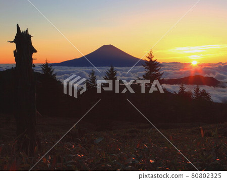 靜岡縣×山梨縣堺山富士山口 雲海日出富士山有行為感 靜岡縣×山梨縣堺山富士山口 雲海日出富士山有行為感 80802325