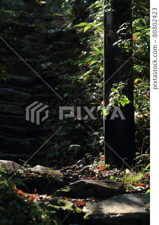 Landscape / Torii in the mountains 80802423