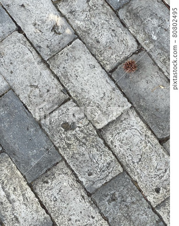 Cobblestone and squid 80802495