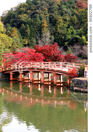 Autumn Shiromizu Amidado (Fukushima Prefecture, Iwaki City) 80802766