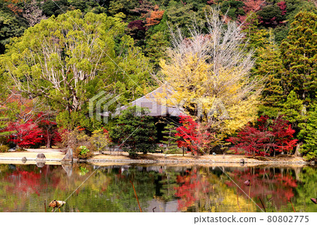 秋天Shiromizu Amidado(福島縣,磐城市) 秋天Shiromizu Amidado(福島縣,磐城市) 80802775