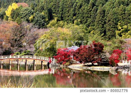 秋天Shiromizu Amidado(福島縣,磐城市) 秋天Shiromizu Amidado(福島縣,磐城市) 80802776