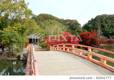 Autumn Shiromizu Amidado (Fukushima Prefecture, Iwaki City) Autumn Shiromizu Amidado (Fukushima Prefecture, Iwaki City) 80802777