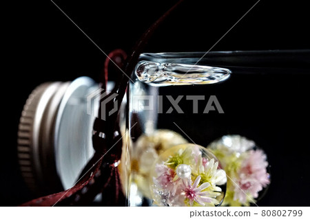 Herbarium vial Herbarium vial 80802799
