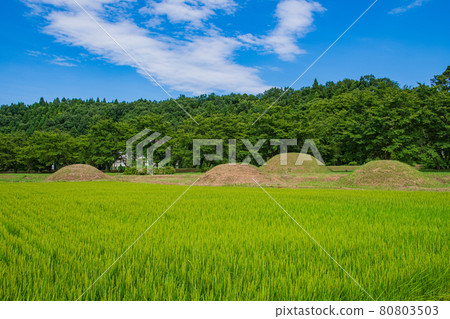 Miyaguchi Kofungun on a sunny day in summer 80803503