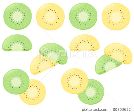 獼猴桃插圖集 80803632