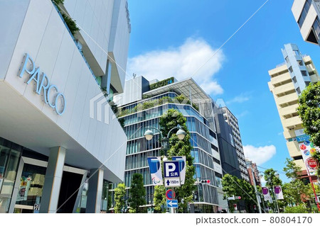 Shibuya Koen Dori 80804170