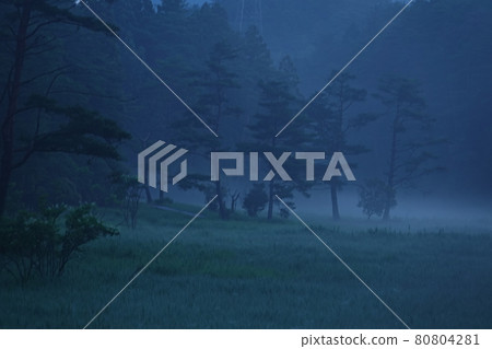 Kurozo Marsh in the morning mist 80804281