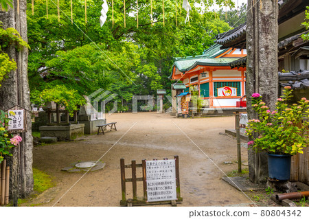 以繡球花著稱的魚泉住吉神社(兵庫縣明石市安廣山) 以繡球花著稱的魚泉住吉神社(兵庫縣明石市安廣山) 80804342