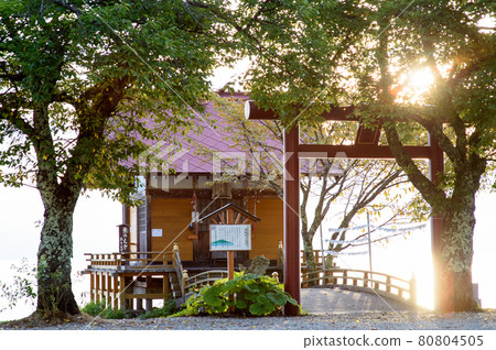 清晨陽光下的浮木神社田澤湖 清晨陽光下的浮木神社田澤湖 80804505