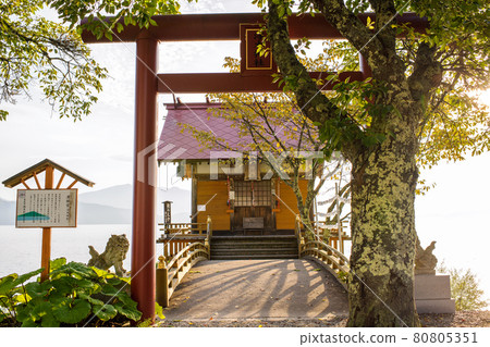 清晨陽光下的浮木神社田澤湖 80805351