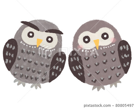 Hand drawn illustration of an owl 80805497