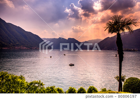 lake Como, near Bellagio, piedmonte, in italy lake Como, near Bellagio, piedmonte, in italy 80806197