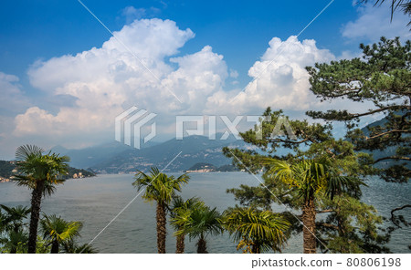lake Como, near Bellagio, piedmonte, in italy lake Como, near Bellagio, piedmonte, in italy 80806198