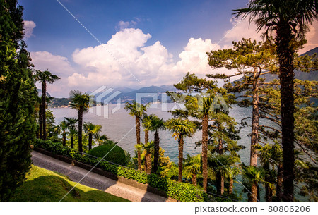 lake Como, near Bellagio, piedmonte, in italy lake Como, near Bellagio, piedmonte, in italy 80806206