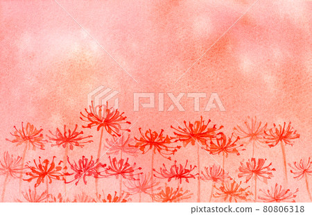 Fantastic cluster amaryllis background Fantastic cluster amaryllis background 80806318