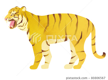 水彩老虎（虎）矢量插畫（2022年，賀年片素材，賀年片） 80806567