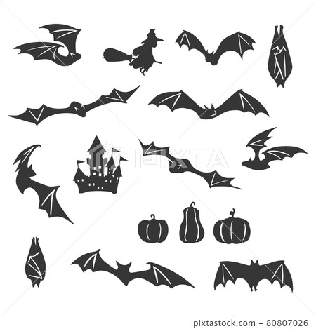 蝙蝠剪影 80807026