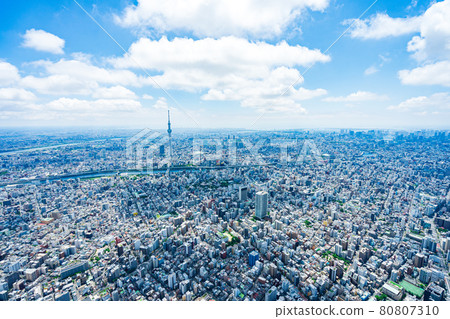 Tokyo central city 80807310