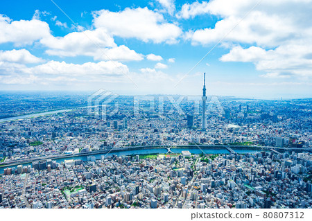 東京中心城市 80807312