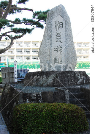 Stone monument of "Sagara Castle Toe" (Makinohara City, Shizuoka Prefecture) 80807944