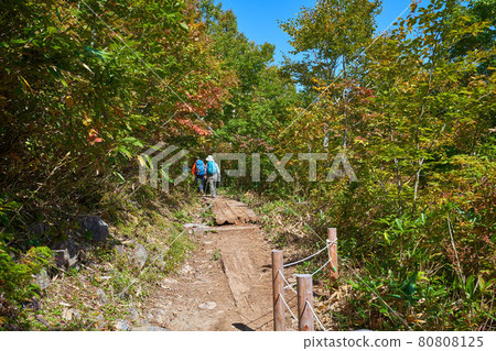 秋天尾瀨岩清水附近的山路 秋天尾瀨岩清水附近的山路 80808125