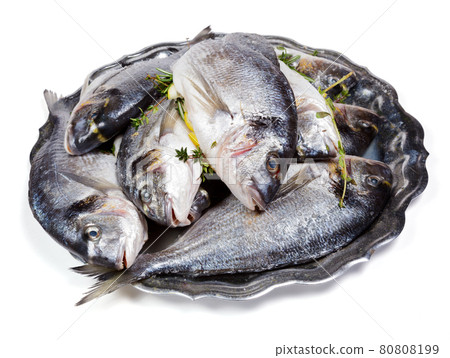 Dorado fish on a plate Dorado fish on a plate 80808199