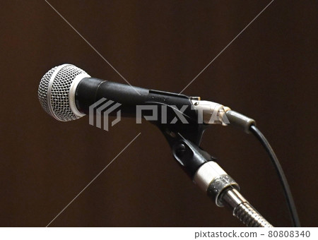 Microphone  80808340