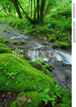Delicious water from Okudaiyama Delicious water from Okudaiyama 80809020