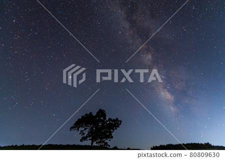 Starry view of the Milky Way in summer 80809630