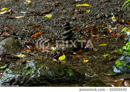 石頭堆在河岸，潮濕陰涼的地方 80809840