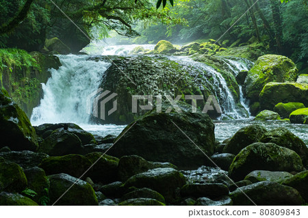 熊本縣菊池峽 綠意盎然,氣氛涼爽 熊本縣菊池峽 綠意盎然,氣氛涼爽 80809843