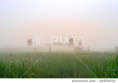 索拉濕地生態公園 索拉濕地生態公園 80809858