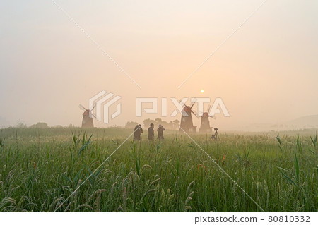 Sora wetland ecological park 80810332