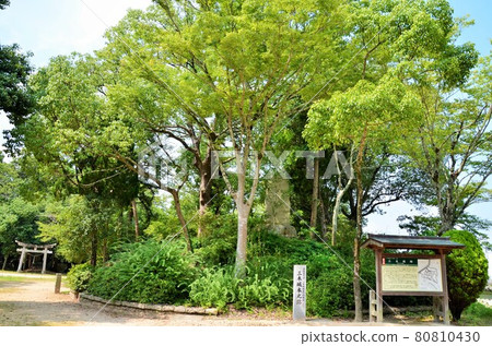 三木城遺址 天守閣遺址 三木城遺址 天守閣遺址 80810430