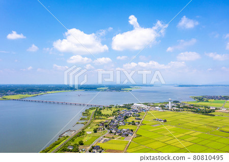 夏季霞浦和霞浦大橋（茨城縣） 80810495