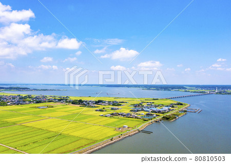 夏季霞浦和霞浦大橋（茨城縣） 80810503
