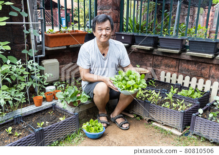 Person showing organic vegetables harvested from home garden. Grown during covid-19 lockdown to pass time 80810506