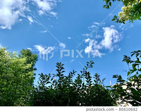 藍天 藍天 80810682