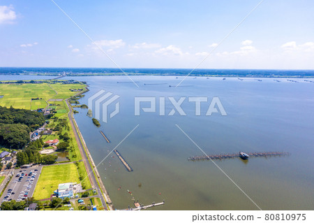 Ayumizaki Park in Kasumigaura in summer and Kasumigaura Bridge in the distance (Ibaraki Prefecture) 80810975
