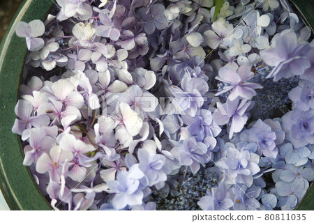 繡球花漂浮在水面上。 繡球花漂浮在水面上。 80811035