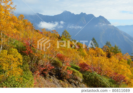 Hotaka from Mt. Yake in the Northern Alps 80811089