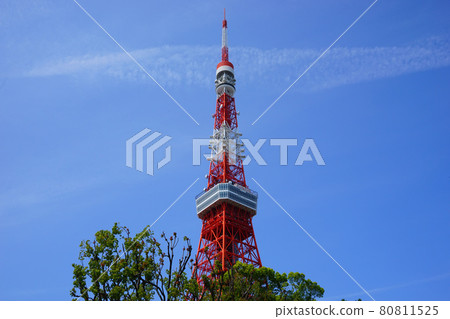 東京塔藍天背景 80811525