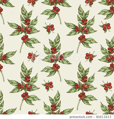 Vintage seamless pattern with coffee plant and... - Stock Illustration ...